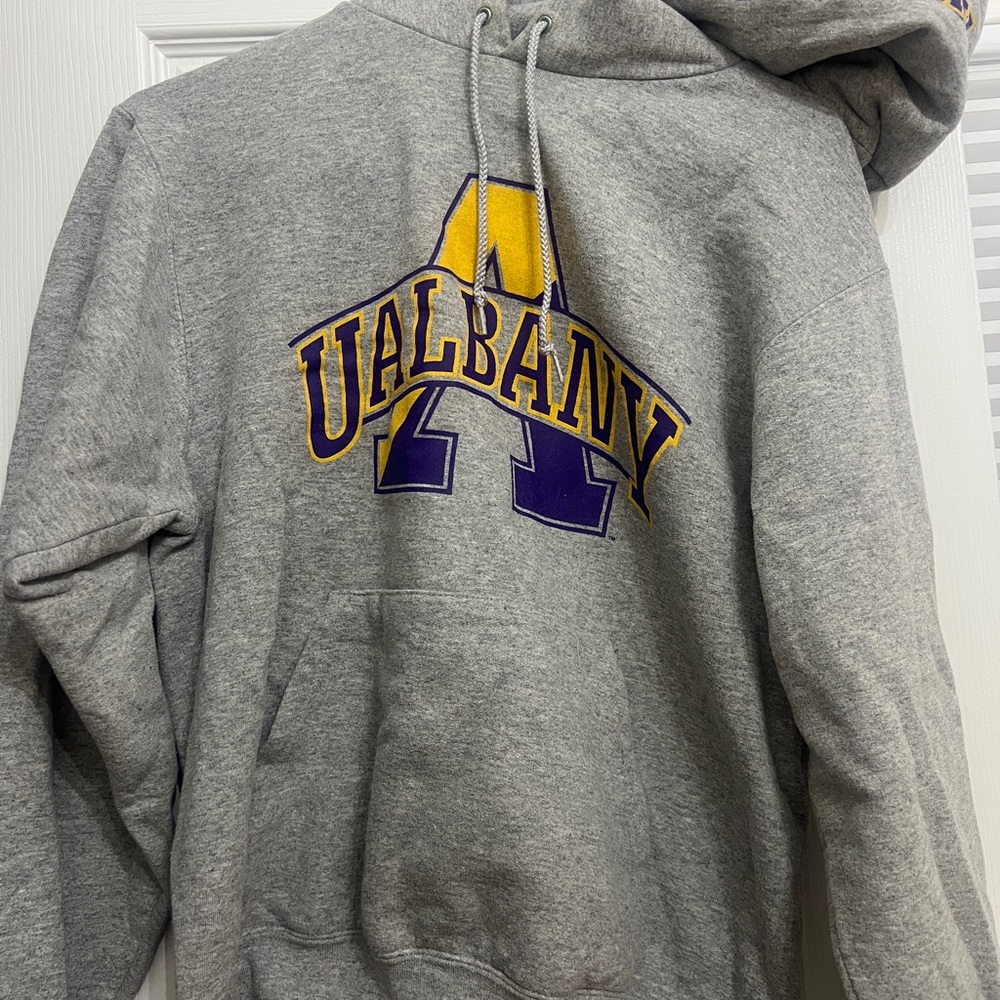 Champion Gray Hoodie with Purple and Yellow Logo